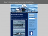 Whalesightings.blogspot.com
