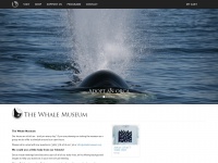 whalemuseum.org Thumbnail