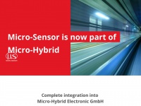 micro-sensor.com