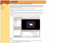 Gsvit.net