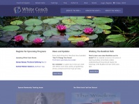 White-conch.org