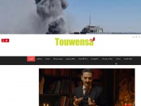 touwensa.com