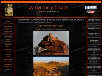 jvbigcats.co.za Thumbnail