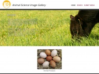 Animalimagegallery.org
