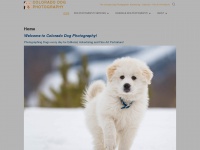 Coloradodogphotography.com