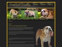 britishgoldbulldogs.co.uk Thumbnail