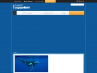 Aquariumbiarritz.com