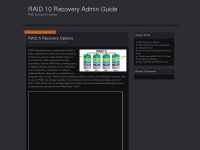 raid10recovery.org Thumbnail