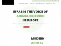 effab.info Thumbnail