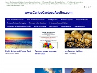 carloscardosoaveline.com Thumbnail