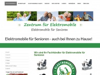 zentrum-fuer-elektromobile.de Thumbnail