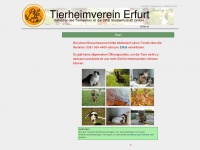 tierheimverein-erfurt.de
