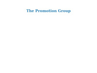 thepromotiongroup.com Thumbnail