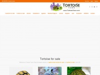 Tortoisetown.com