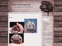 briarpatchhedgehogs.com