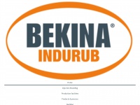 bekina-indurub.com Thumbnail