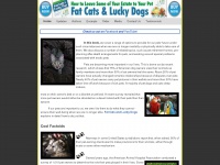 fatcatsandluckydogs.com Thumbnail