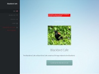 blackbirdcafe.com