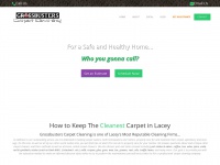laceycarpetcleaner.com