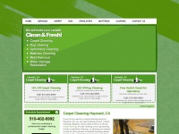hayward-carpet-cleaning.com
