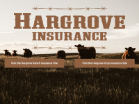 hargroveinsurance.com