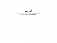 mespilgroup.com