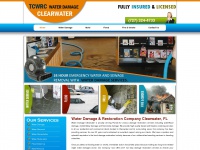 waterdamageclearwater.co Thumbnail