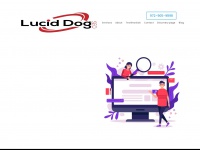luciddogseo.com Thumbnail