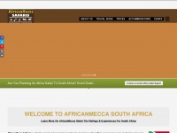 southafricasafarishotelstravel.com Thumbnail