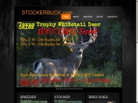 stockerbuck.com Thumbnail