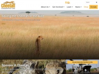 cheetah.org Thumbnail