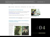 nepaliorchids.blogspot.com Thumbnail