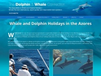 Dolphinandwhaleconnection.com
