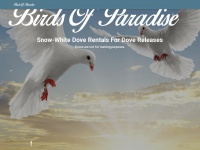 Whitebirdsofparadise.com