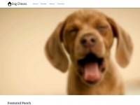 dog-checks.com