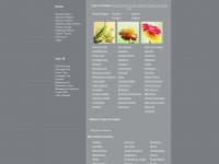 types-of-flowers.org Thumbnail