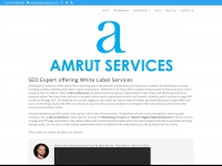 amrutservices.com