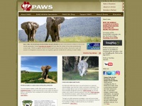 Pawsweb.org