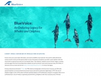 bluevoice.org Thumbnail