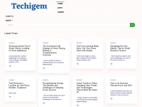 techigem.com Thumbnail