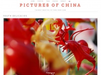 picturesofchina.org Thumbnail
