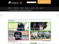 animalsasia.org Thumbnail