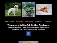 whiteoakgoldenretrievers.com
