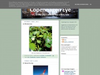 copenhageneye.blogspot.com