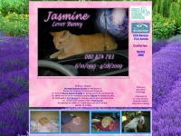 jasminehoneybunny.com