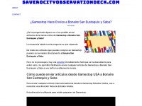 saverocityobservationdeck.com
