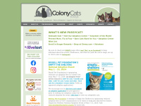 colonycats.org Thumbnail