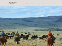 cattledrivevacations.com Thumbnail