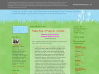 tortuga-runner.blogspot.com