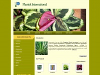 plantekinternational.com Thumbnail